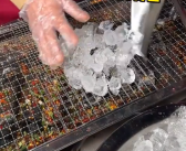东北小吃“烤冰溜子”在长沙火了 专家：杜撰的！