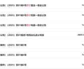 负债千亿！苏宁系公告破产重整！