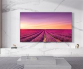 小米10月电视出货量近60万台 一家超长虹、海尔、康佳三个品牌 !