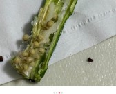 多数“冻干蔬菜脆”实为油炸产品：吸油量甚至超过直接油炸！